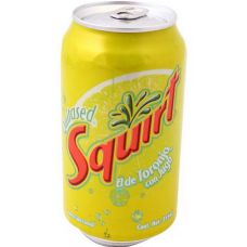 BEVER SQUIRT 355 ML CAN